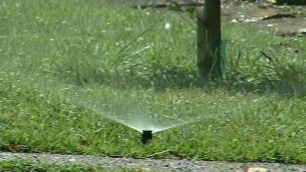 Sprinkler