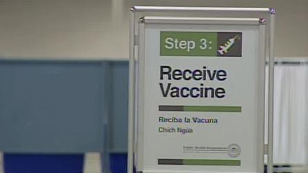swine flu, H1N1, flu, influenza, CDC, WHO, outbreak, epidemic, pandemic, vaccine, shot
