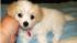 Precious (Sent in via uReport)