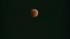 Moon Moon