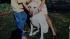 Oakland police shot and killed a familys yellow lab.
