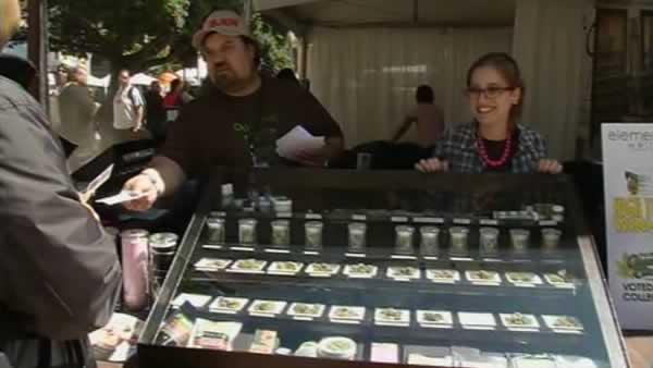 Vendors showcase different varieties of marijuana at the Cannabis and Hemp Expo in Oakland, Calif. Saturday, September 3, 2011.