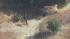 Police work to ID body found during Le search ::