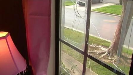 Livermore police are searching for vandals who used a launching device to hurl river rocks at homes, cars and mailboxes.