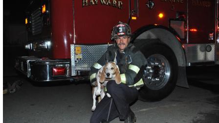 Firefighters in Hayward rescue dog from house fire