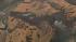Sunol Regional Wilderness fire