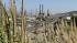 Chevron Richmond oil refinery