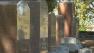 A row of headstones in a cemetery