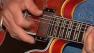 Elvin Bishop
