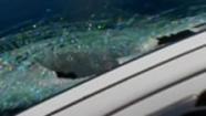 Michael Potts was impaled and killed when a metal pipe came crashing through his  windshield as he drove on I-580.