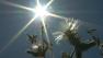 Sun shining brightly on a hot day