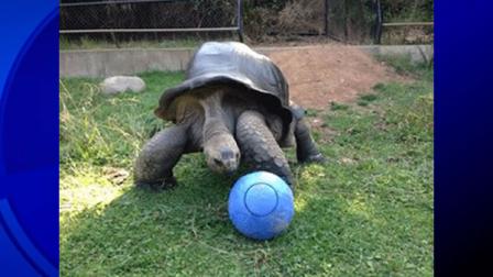 Santa barbara zoo discounts coupons