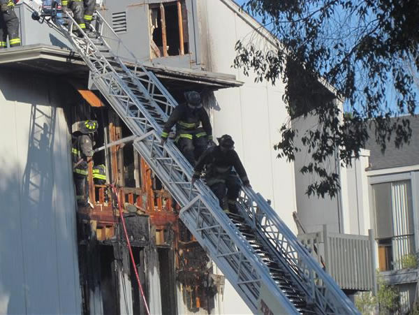 A firefighter rescues a puppy from a burning...