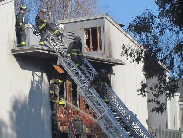 A firefighter rescues a puppy from a burning...