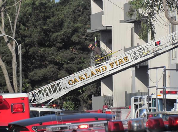 A firefighter rescues a puppy from a burning apartment building in Alameda on Saturday, Dec. 17, 2011. Photo submitted to uReport by Chris Hirneisen.