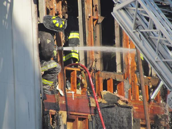 A firefighter rescues a puppy from a burning...