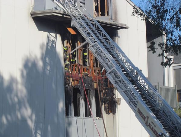 A firefighter rescues a puppy from a burning...