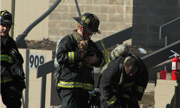 A firefighter rescues a puppy from a burning...