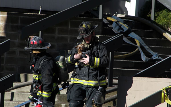 A firefighter rescues a puppy from a burning...