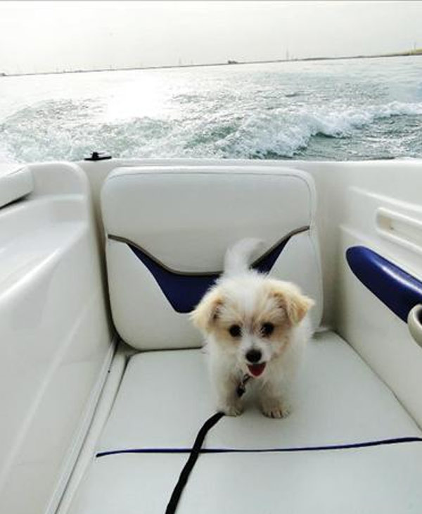 Precious (sent in via uReport)