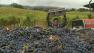 A cool summer forced a longer growing season, prompting a shorter, more intense grape harvest in Sonoma County.