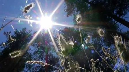 hot sun