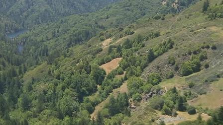 outdoor marijuana eradication efforts