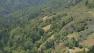 outdoor marijuana eradication efforts