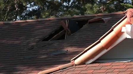 250 pot plants found in burning Pinole home