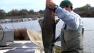 Salmon released into San Joaquin River