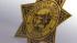 Families shocked over center's decertification :: Protective Services Police badge