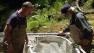 Biologists research Coho salmon at Lagunitas Creek