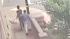 A dog being trained to become a seeing-eye animal passed a frightening, real-life test in San Rafael Monday morning. A dog being trained to become a seeing-eye animal passed a frightening, real-life test in San Rafael Monday morning.