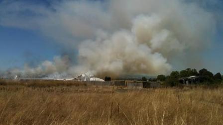 Firefighters extinguished an 82-acre vegetation fire in unincorporated Sonoma County southwest of Santa Rosa. (Photo courtesy Laura Conklin and Ryan Moore via uReport.)