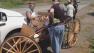 Girl hurt when horse-drawn carriage collides with truck in Petaluma