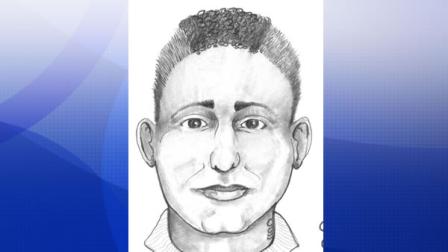 Police have released a sketch of a man who sexually assaulted a 
DoubleTree Hotel housekeeper in Rohnert Park on Friday afternoon.
