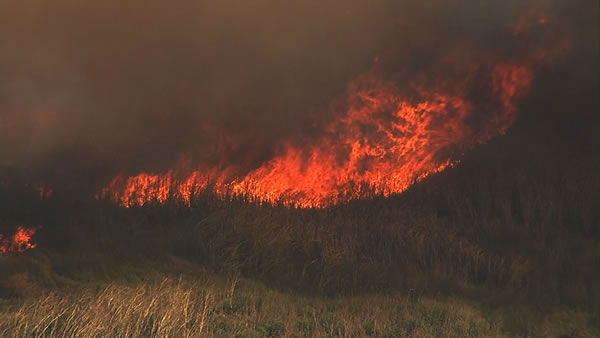 Vegetation fire near Fairfield
