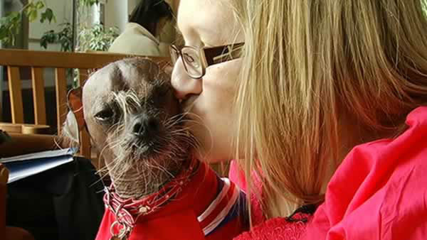 Worlds Ugliest Dog Contestants