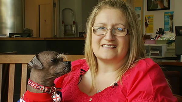 Worlds Ugliest Dog Contestants