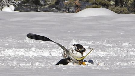 Truckee plane crash