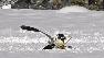 Truckee plane crash