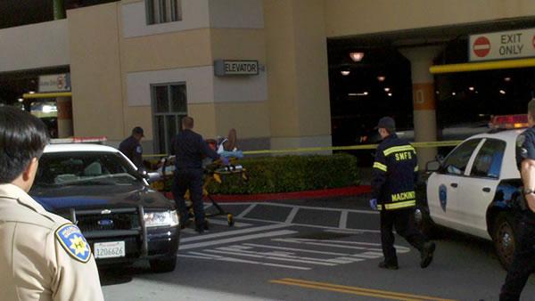 Hillsdale Mall scene