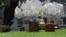 Cemetary in Colma