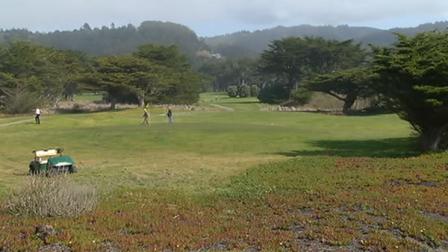 Sharp Park