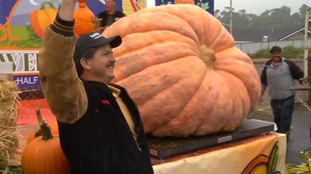 pumpking weigh-off