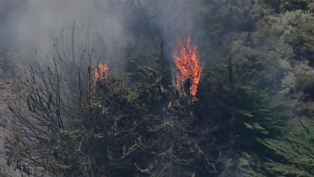 Firefighters are working to contain a vegetation fire that is burning in Brisbane.