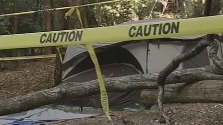 Boy crushed by tree to have leg amputated