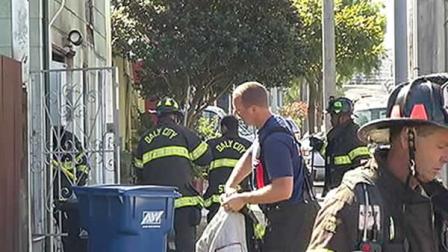12 cats rescued from fire in Daly city euthanized