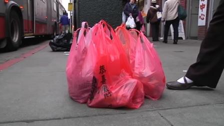 Plastic grocery bag