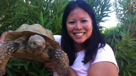 Pokey the tortoise has been reunited with his owner in Foster City.